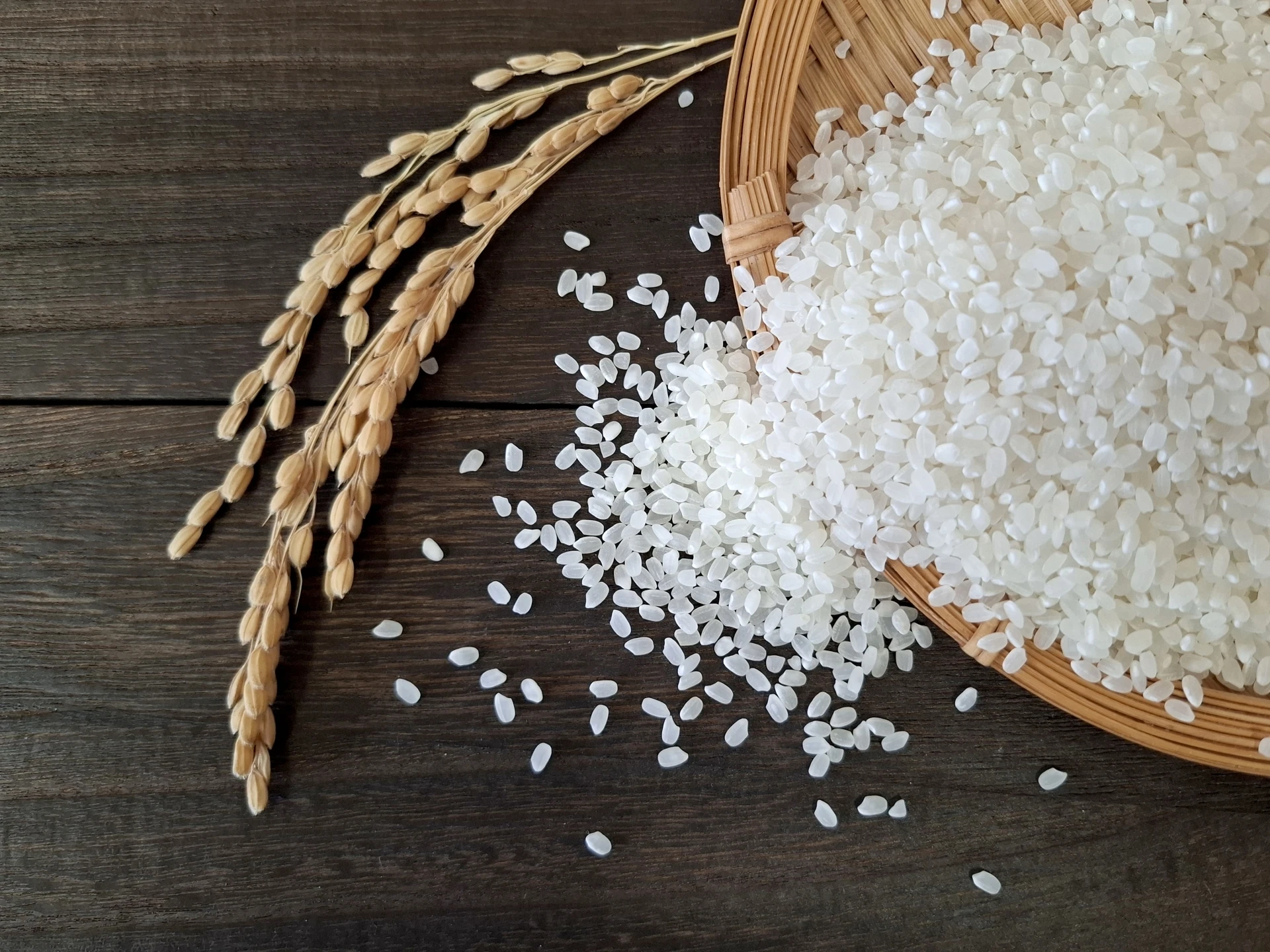 あいおのお米　にこまる - 日本の美味しさがここに！