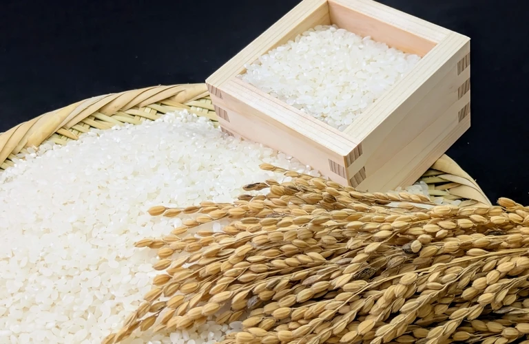 みねのお米 こしひかりをあなたの食卓に| 元気のさとだより