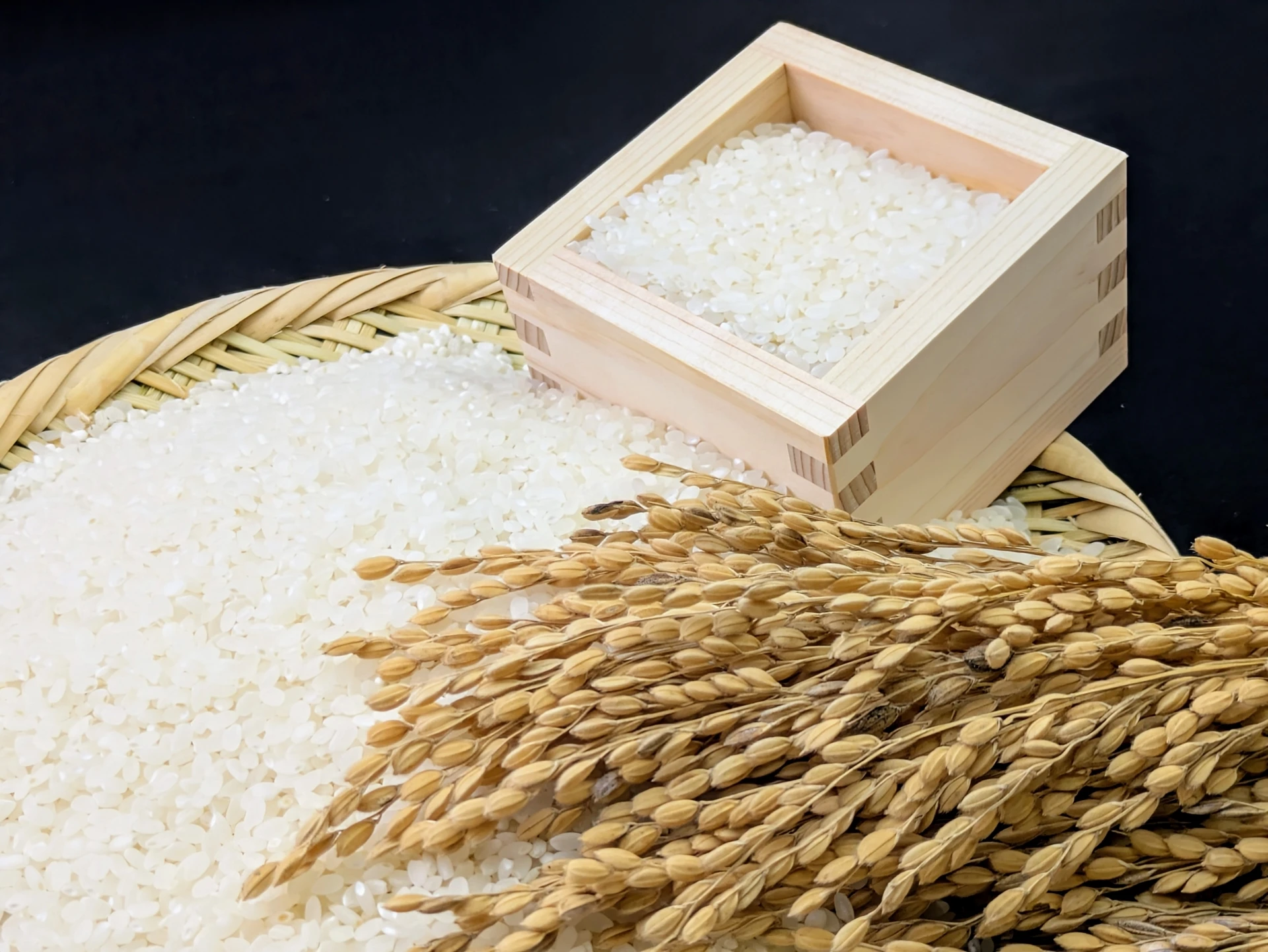 みねのお米　コシヒカリ - 最高の美味しさをあなたの食卓に