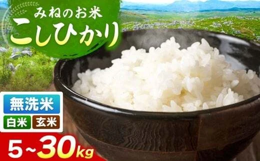 4. 食卓を彩るレシピ