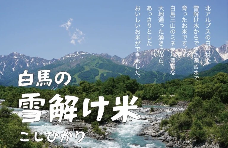 白馬の雪解け米をあなたの食卓へ| 元気のさとだより