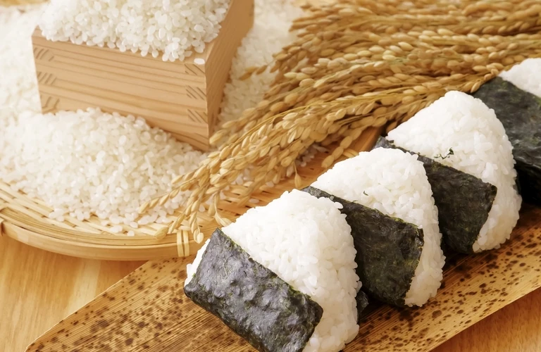 お弁当に革命を！冷めても大粒、モチモチが続く「みねのお米」の実力。| 元気のさとだより