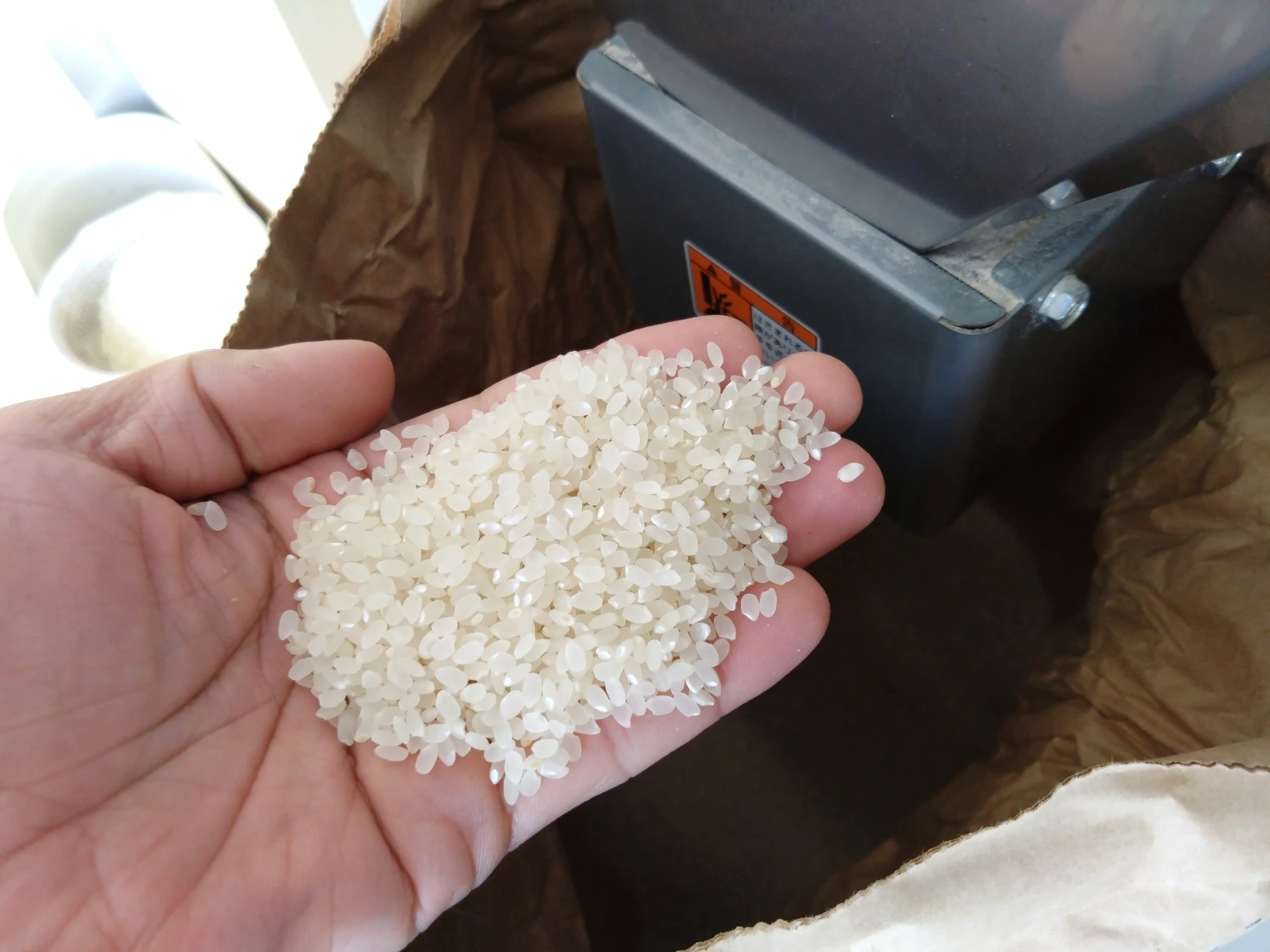 4. 食卓を彩るレシピ