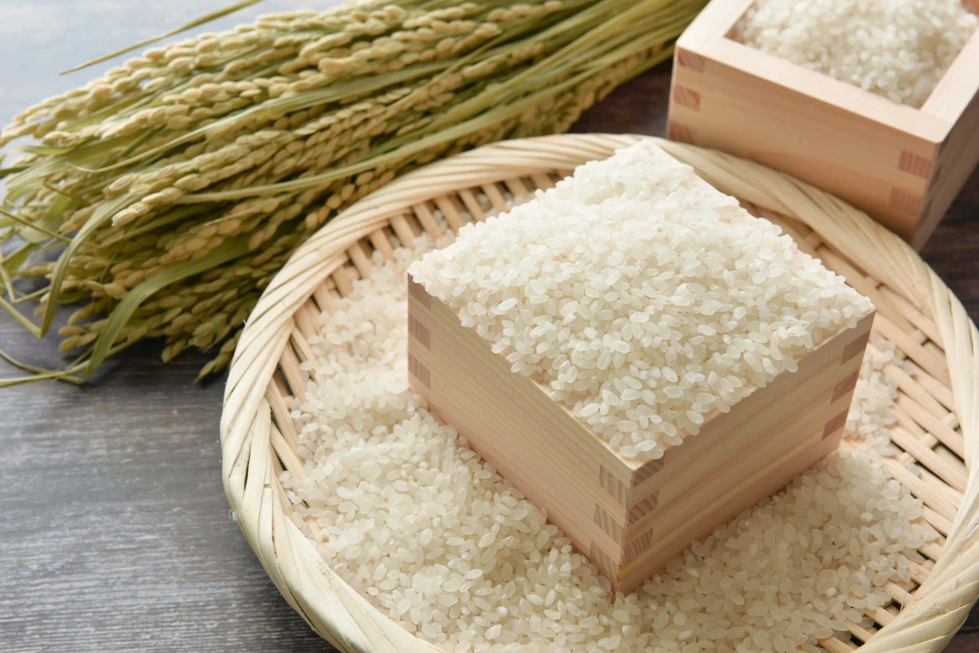 食卓を彩るレシピ提案