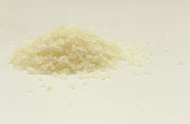 精米したてのお米 特別な贈り物に最適な産地直送ギフト | 米の通販なら元気のさとだより