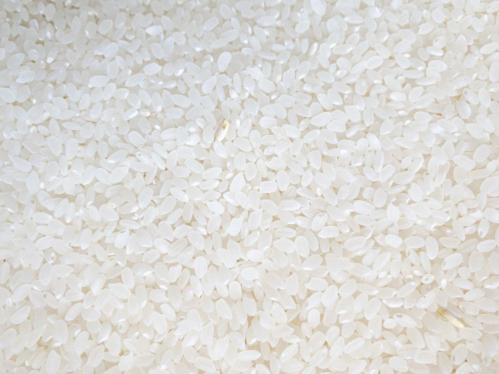 2. 精米したてのお米の美味しさ
