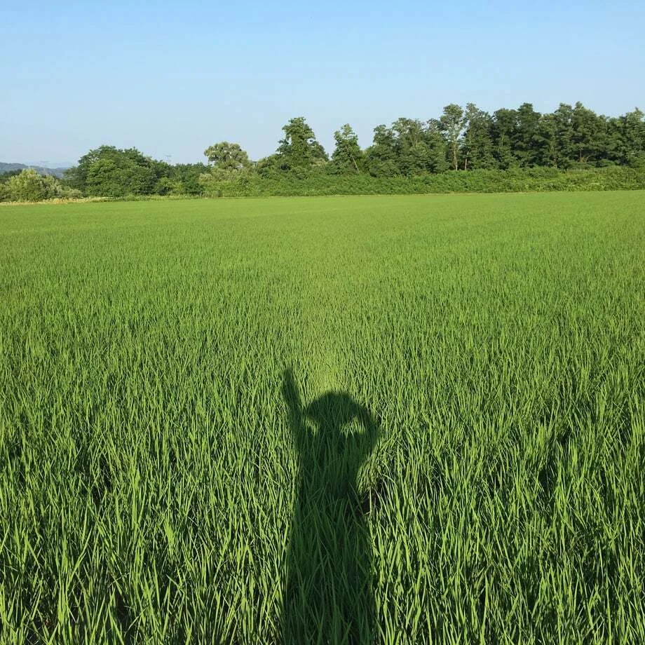 水のまち長井の恵み